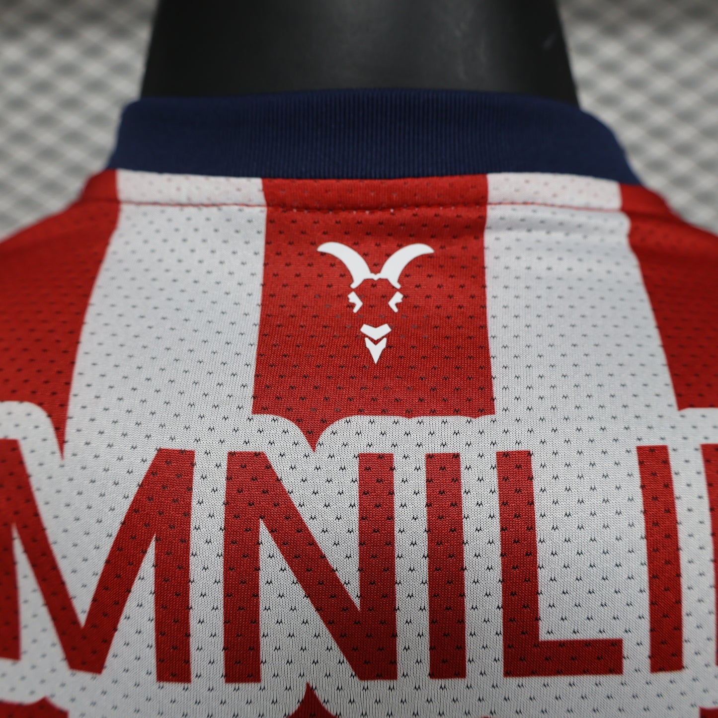 Chivas 24/25 Local Versión Jugador