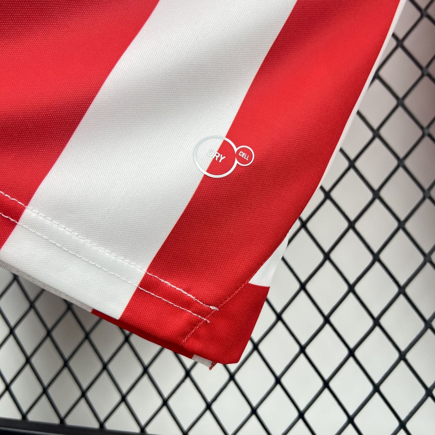 Chivas Local 110 años