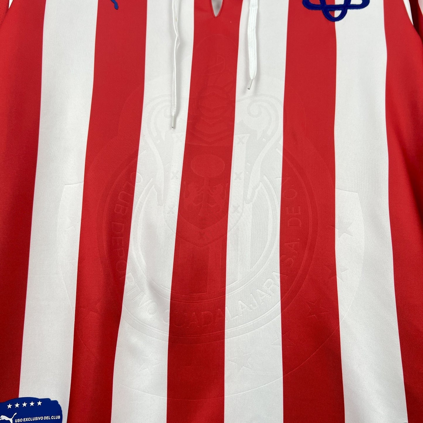 Chivas Local 110 años