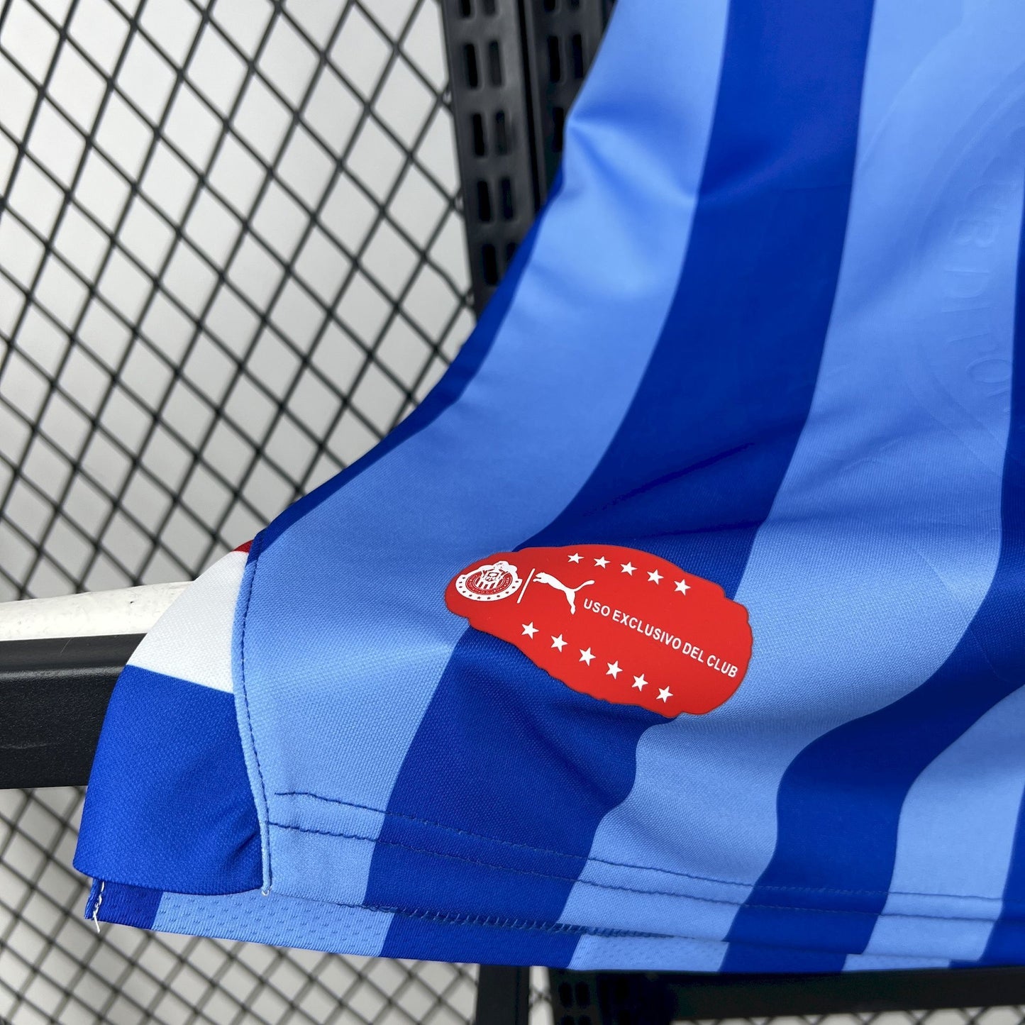 Chivas Portero 110 años