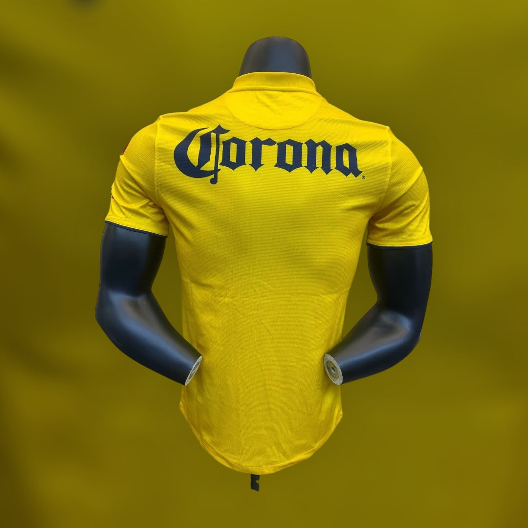 América Local 2013/14