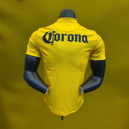 América Local 2013/14