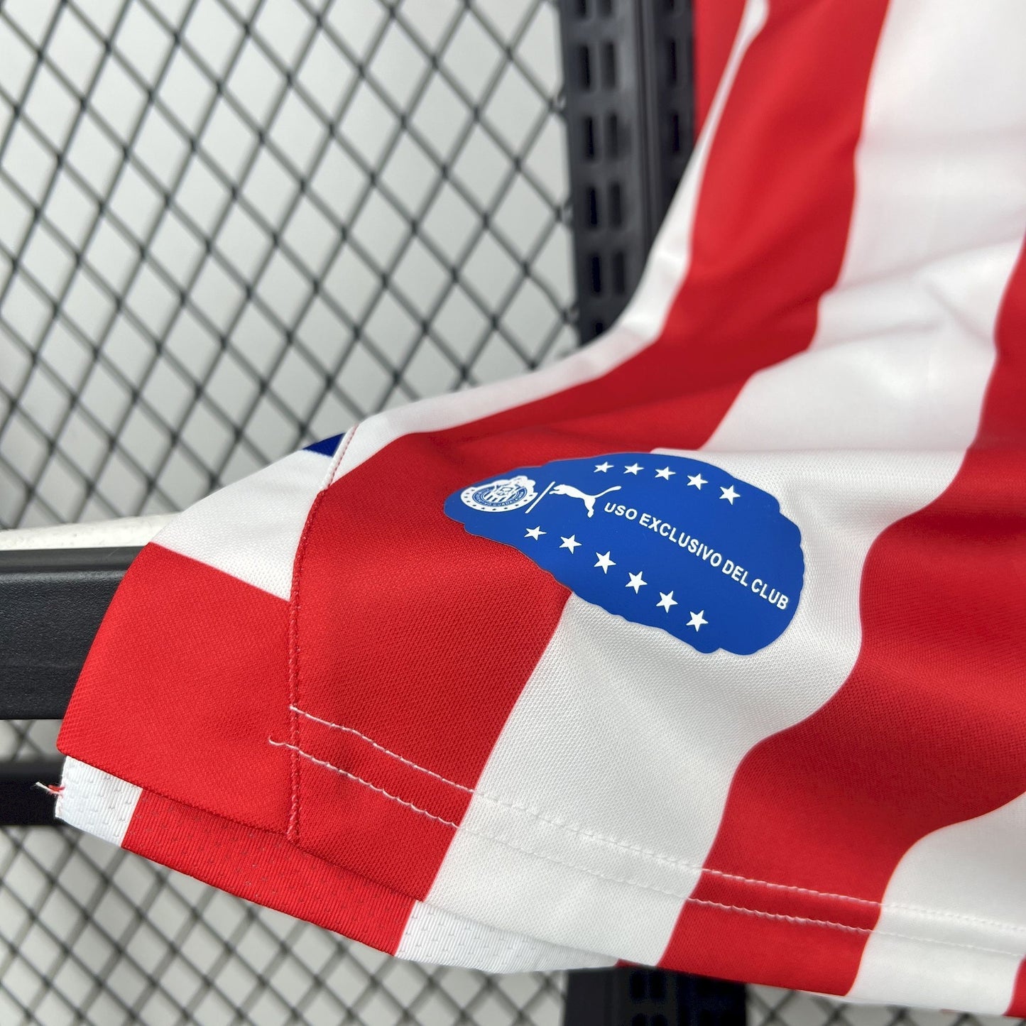 Chivas Local 110 años