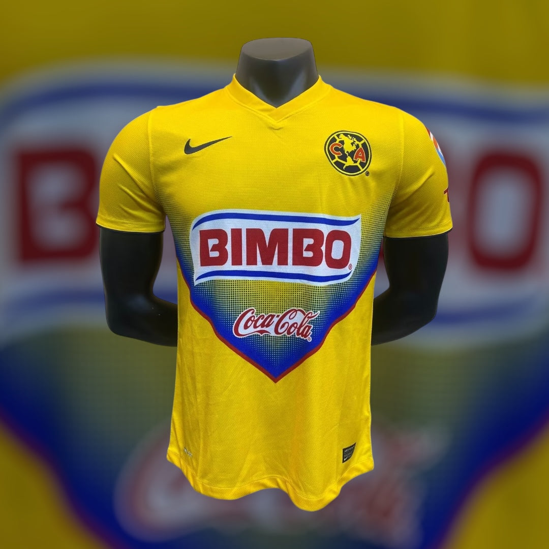 América Local 2013/14